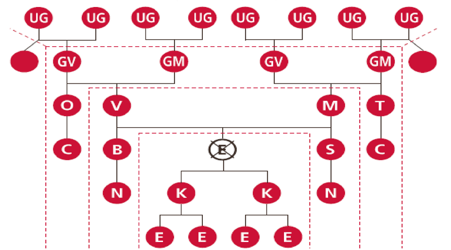 parentelensystem-definition